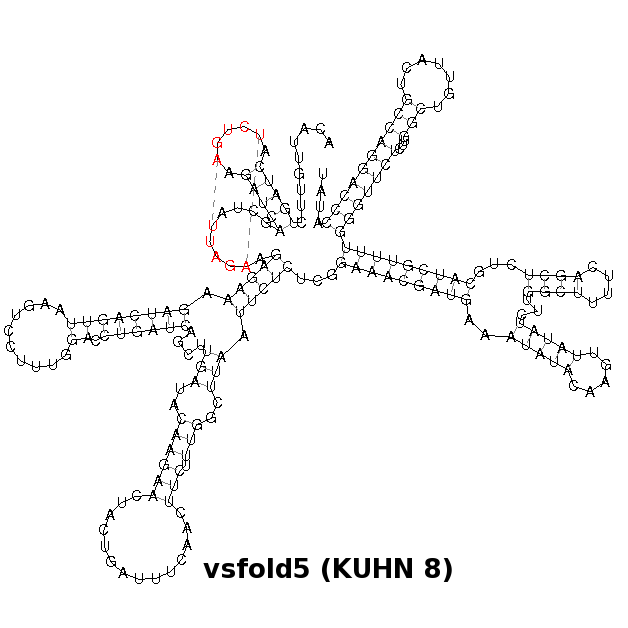 Kuhn8